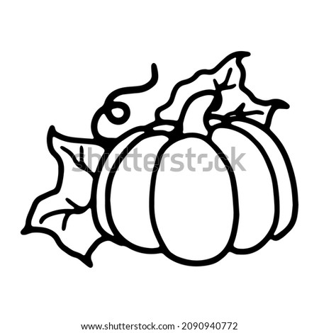 Pumpkin in doodle style. Isolated vector.