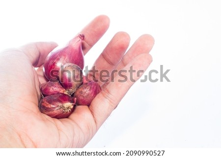 onion in hand on an isolated white background. one clove of onion.
