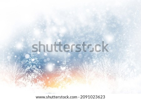 Frozen winter forest with snow covered trees. outdoor. Christmas greeting card. 