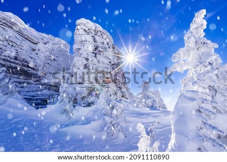 Beautiful winter view in dream, snow covered spruce and frozen sheer cliff with blue sky with sun light.