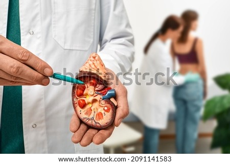 Urology and treatment of kidney disease. Doctor doing kidney exam for female patient with kidney disease, soft focus Royalty-Free Stock Photo #2091141583