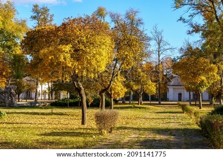City park with beautiful trees during the golden autumn. Natural background with copy space for text or inscriptions.