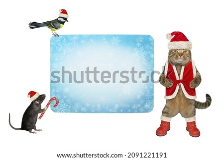 A beige cat and a black rat in Santa Claus costumes near a blank winter poster. White background. Isolated.