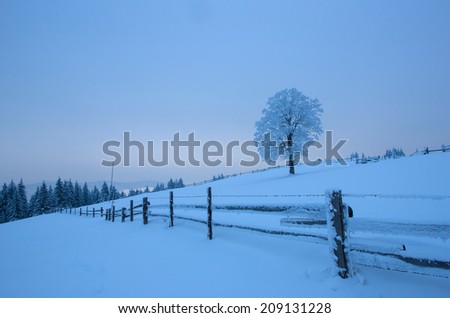 Winter landscape with snow in mountains Carpathians, Ukraine