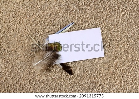 empty business card,greeting card or invitation card with feather mockup in sea sand background