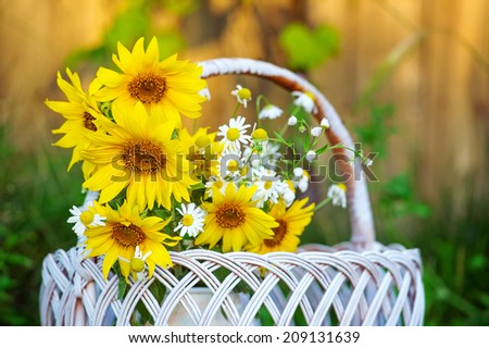 Bouquet of sunflowers in a wicker basket close up