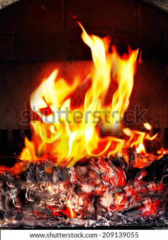 fire in fireplace close up picture