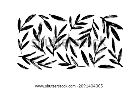 Olive branches with long leaves vector collection. Hand drawn foliage, herbs, tree twig. Set of black silhouettes leaves and tree branches. Vector ink elements isolated on white background.  Royalty-Free Stock Photo #2091404005