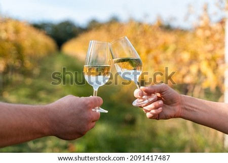 Two glasses of white wine  in front of the vineyard at sunny day in autumn, Moravia, Czech Republic Royalty-Free Stock Photo #2091417487