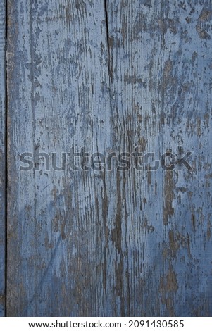 texture of old boards covered with gray-blue paint.  over time, the paint peeled off and the clear texture of the old wood is visible from below.  close-up.  can be used as a photo background