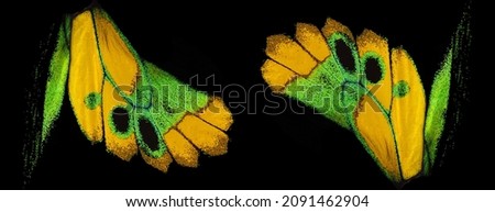 Ornament from the wings of a bright butterfly. Birdwing butterfly. Macro photography tropical butterfly wings isolated on black. Wings detail of Rothschild's birdwing (Ornithoptera rothschildi).