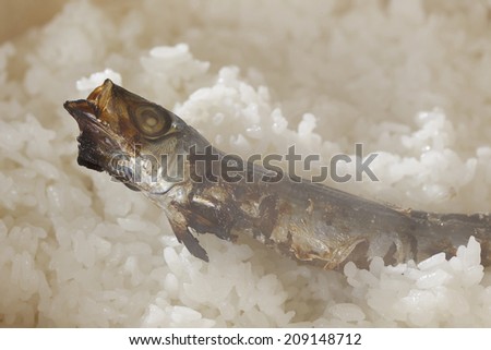 An Image of Grilled Fish