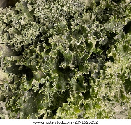Kale closeup picture health food