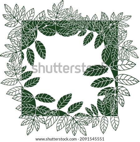 Frame with green leaves, isolated on a white background. For web design, decoration, invitations