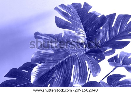 Monstera leaf close-up on a yellow background. Artificial houseplant, decor and comfort for the home. Carved tropical leaf. Copy space