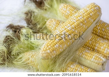 Close-up raw super sweet corns with corn silk and skin with white background, South Korea
 Royalty-Free Stock Photo #2091618514