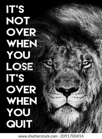 Lion , Inspirational Motivational quote , it`s not over when you lose it`s over when you quit Royalty-Free Stock Photo #2091700414