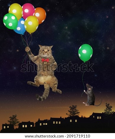 A beige cat and a black rat with balloons are flying in the night sky.