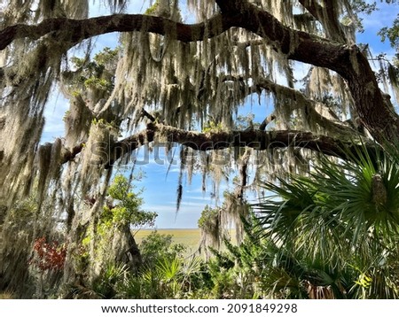 The unique coastal landscape of Georgia’s Jekyll Island lowcountry makes it a popular slow travel tourism destination. Royalty-Free Stock Photo #2091849298