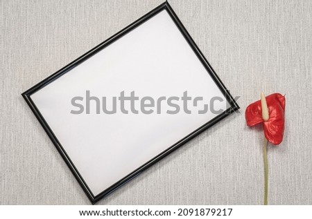 Photo frame on grey background with a red flower. To write a message, invitation, greetings, photograph.
