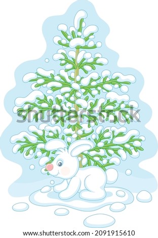 Little white hare sitting under a snowy green fir tree in a cold winter forest, vector cartoon illustration isolated on a white background