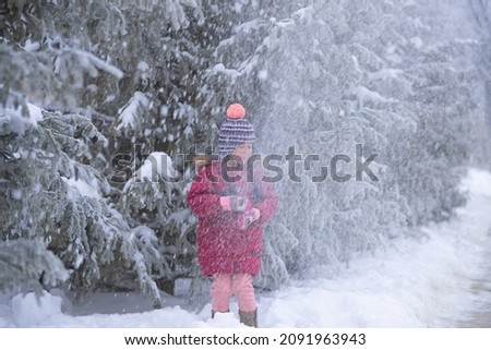 
A cute cheerful girl in a winter jacket and hat walks in the snow in the winter near the fir trees. Christmas tree in the snow. Winter walks in the woods. Snow flies into the face of a little girl.