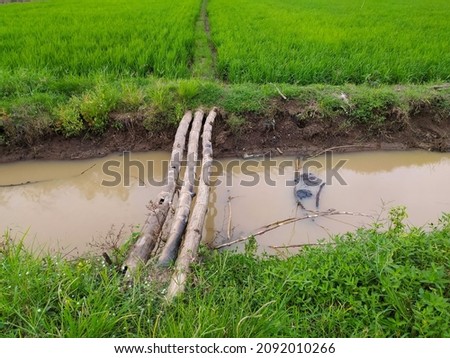 Photo of a small bridge made of bamboo over moat to cross into the rice fields.