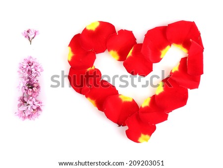 I love laid out from petals and flowers  isolated on white