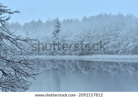 Winter season in Europe .Lithuania nature .Snowy forest by the lake.