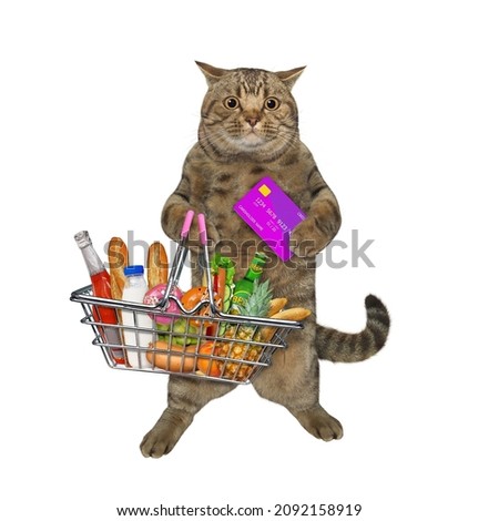 A beige cat with a credit card and a metal shopping basket full of food. White background. Isolated.