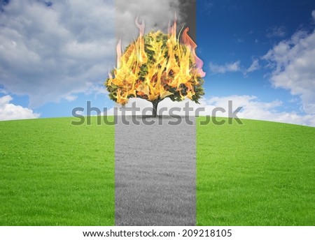 Picture of a tree burning on the top of a hill