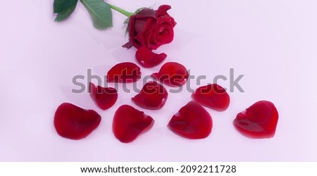 Red rose petals on a pink background with a flower on the background