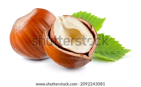 Hazelnut with leaf isolate. Hazelnut peeled and unpeeled with leaves on white. Forest nut. Filbert side view. Full depth of field. Royalty-Free Stock Photo #2092243081