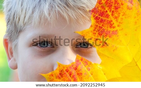 A blond-haired boy who covered his face with a large autumn yellow leaf