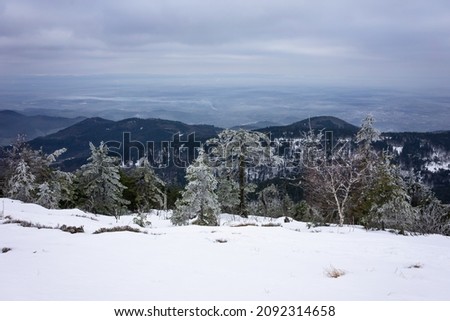Snowy plateau of Hornisgrinde in Black Forest, Germany, with view to Rhine valley.