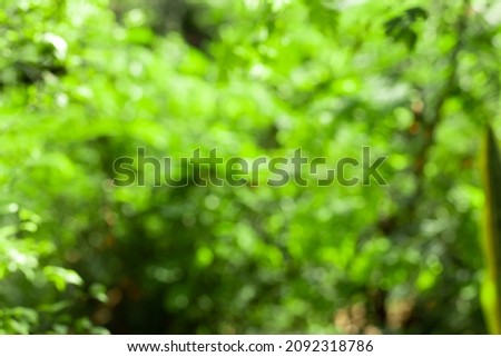 Green nature blurred background in garden for abstract	