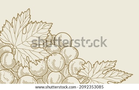 Grape wine, grapes and vines - vector engraved illustration. Vintage bunch of grapes Royalty-Free Stock Photo #2092353085