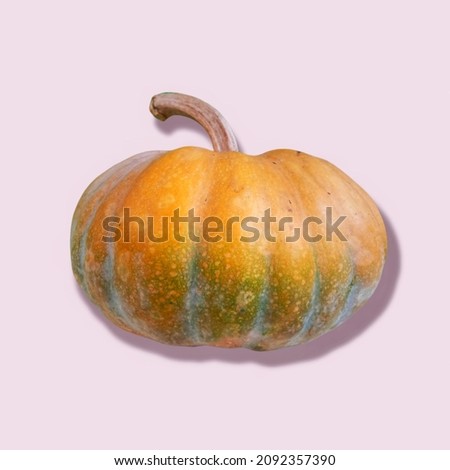 big pumpkin on white background