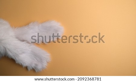 Rabbit, bunny ears on a yellow background.