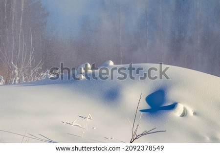 Snow-covered dry grass and branches of shrubs on the mountainside close-up in winter