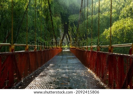 Bridge inside tropical rainforest in Parque del Café, Quindio department, Armenia city, Colombia  