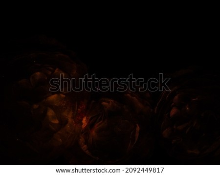 Beautiful abstract black yellow flowers on black background, gold flower frame,brown leaves texture, dark background, orange love banner, brown yellow background, flowers for Christmas and valentines 