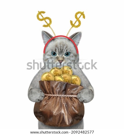 An ashen cat with a gift sack of gold dollar tied with a rope. White background. Isolated.