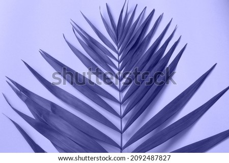 Tropical leaves close up toned in trendy pantone color 2022 very peri