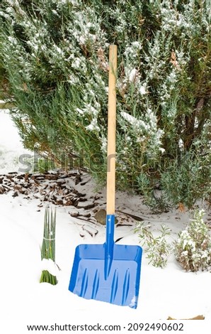 Snow shovel in the yard. Studio Photo.