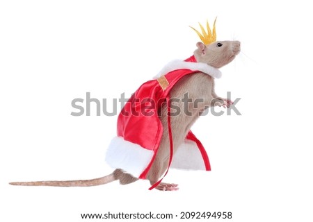 Profile picture of a rat king in a cape and a crown against white background