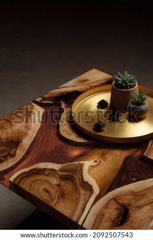 Expensive vintage furniture. The table is covered with epoxy resin and varnished. A gold epoxy river in a round tree slab. Small cacti in concrete pots on copper spacing. 