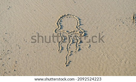 Jellyfish spotted on the sandy shores under the warm afternoon sun.