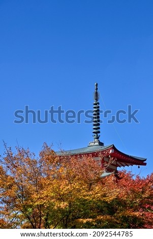 Collaboration scenery of five storied pagoda and colorful autumn leaves in the blue sky background at Yamanashi pref.