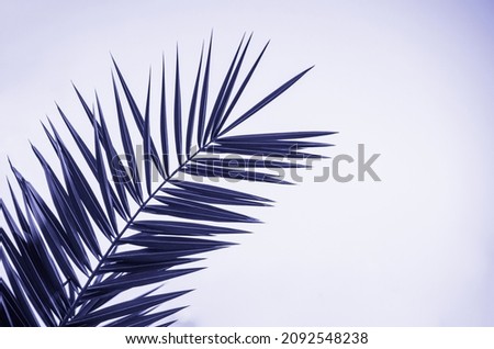 Tropical real leaf of palm tree on light background, Very Peri coloring in trend color of the year 2022 for fashion, home, interiors design, stock illustration clip art background